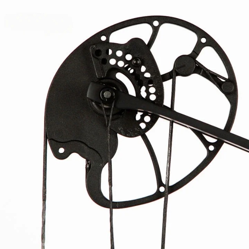Accmos Archery Dragon X8 Hunti - Outdoor Sport Drawing avaliação e preço